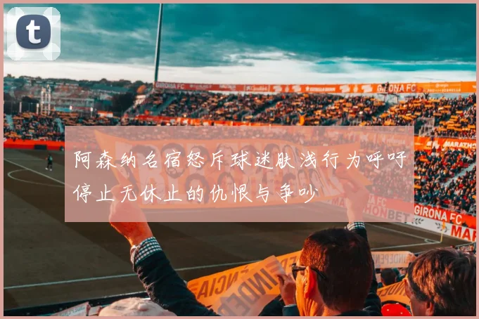 阿森纳名宿怒斥球迷肤浅行为呼吁停止无休止的仇恨与争吵